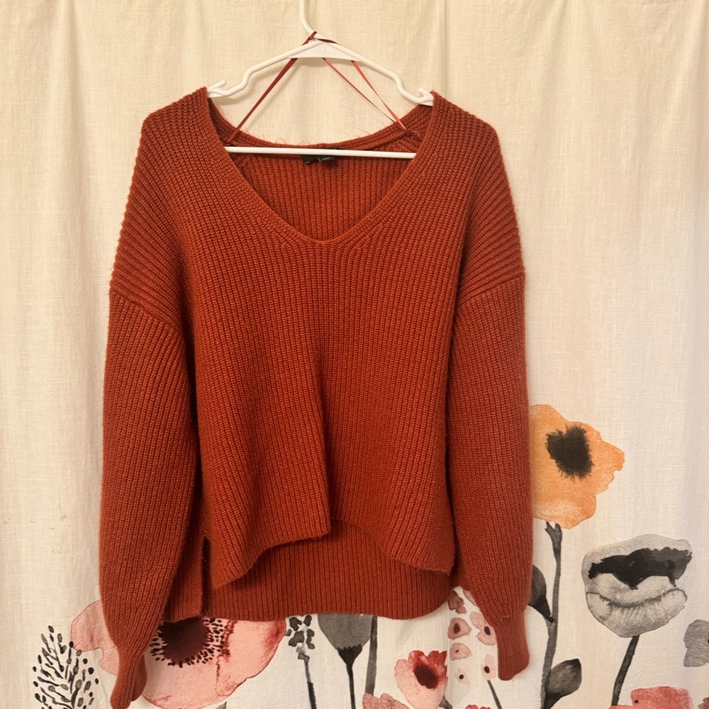 Ann Taylor Terracotta V-Neck Sweater